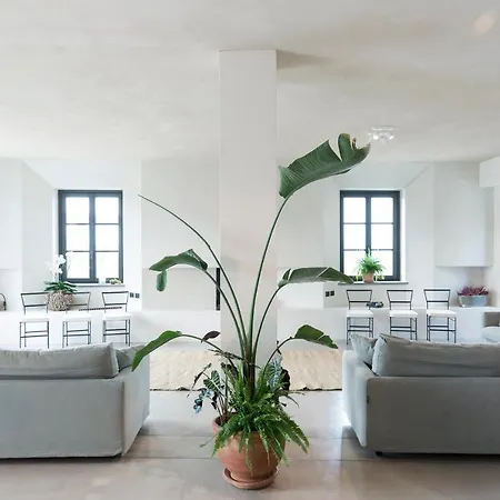 Dai Gresy - In Langa 트레이소